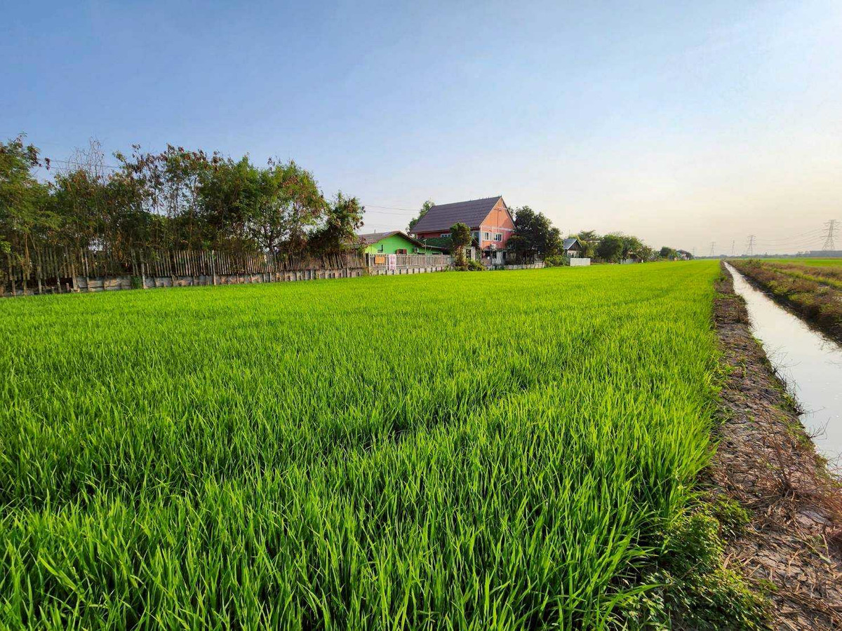 ขายที่ดินแปลงสวย ปทุมธานี ลาดหลุมแก้ว 16ไร่เศษ  ขายเพียงไร่ละ 1.2ล้าน – รูปที่ 2