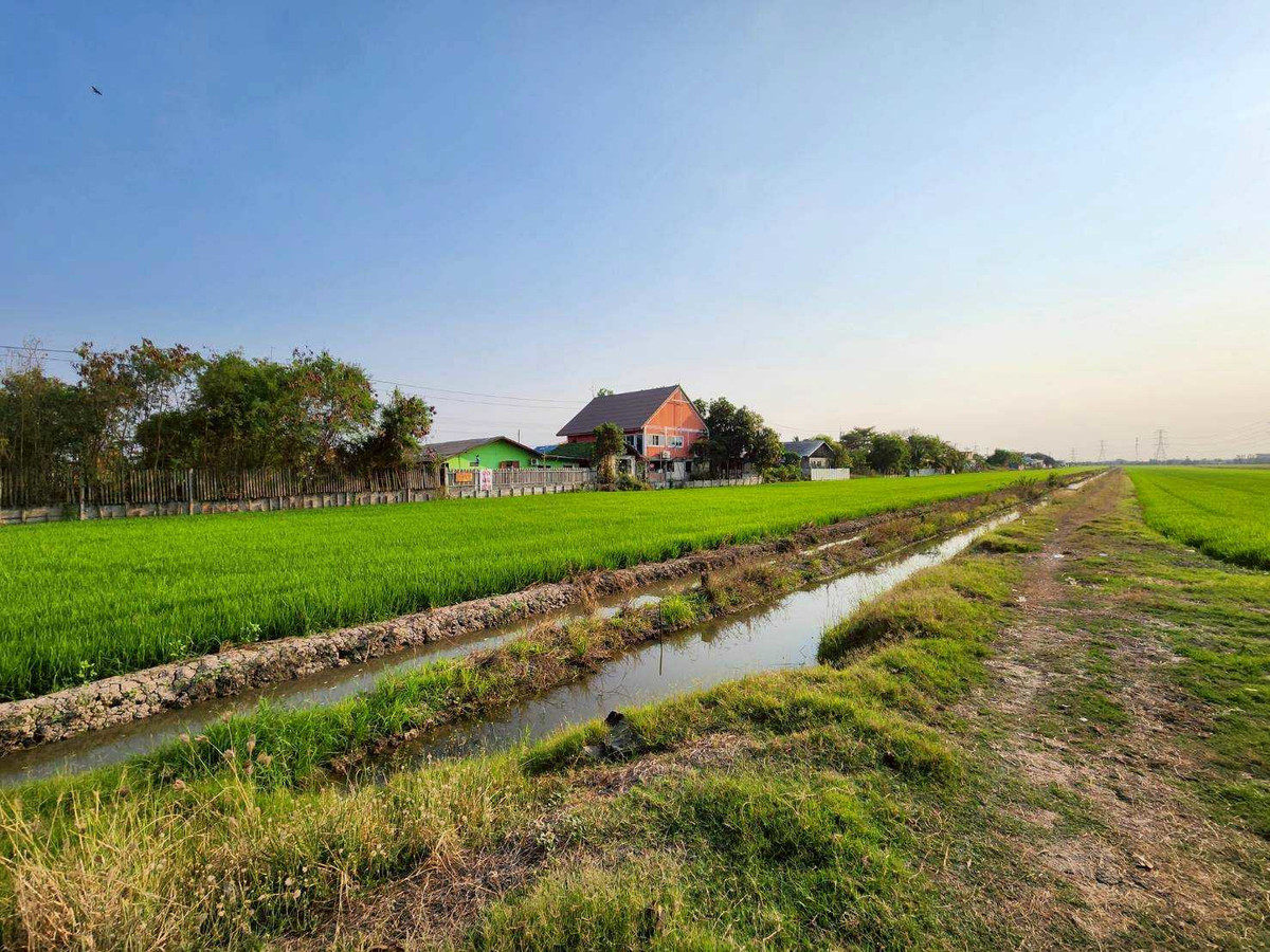 ขายที่ดินแปลงสวย ปทุมธานี ลาดหลุมแก้ว 16ไร่เศษ  ขายเพียงไร่ละ 1.2ล้าน – รูปที่ 3