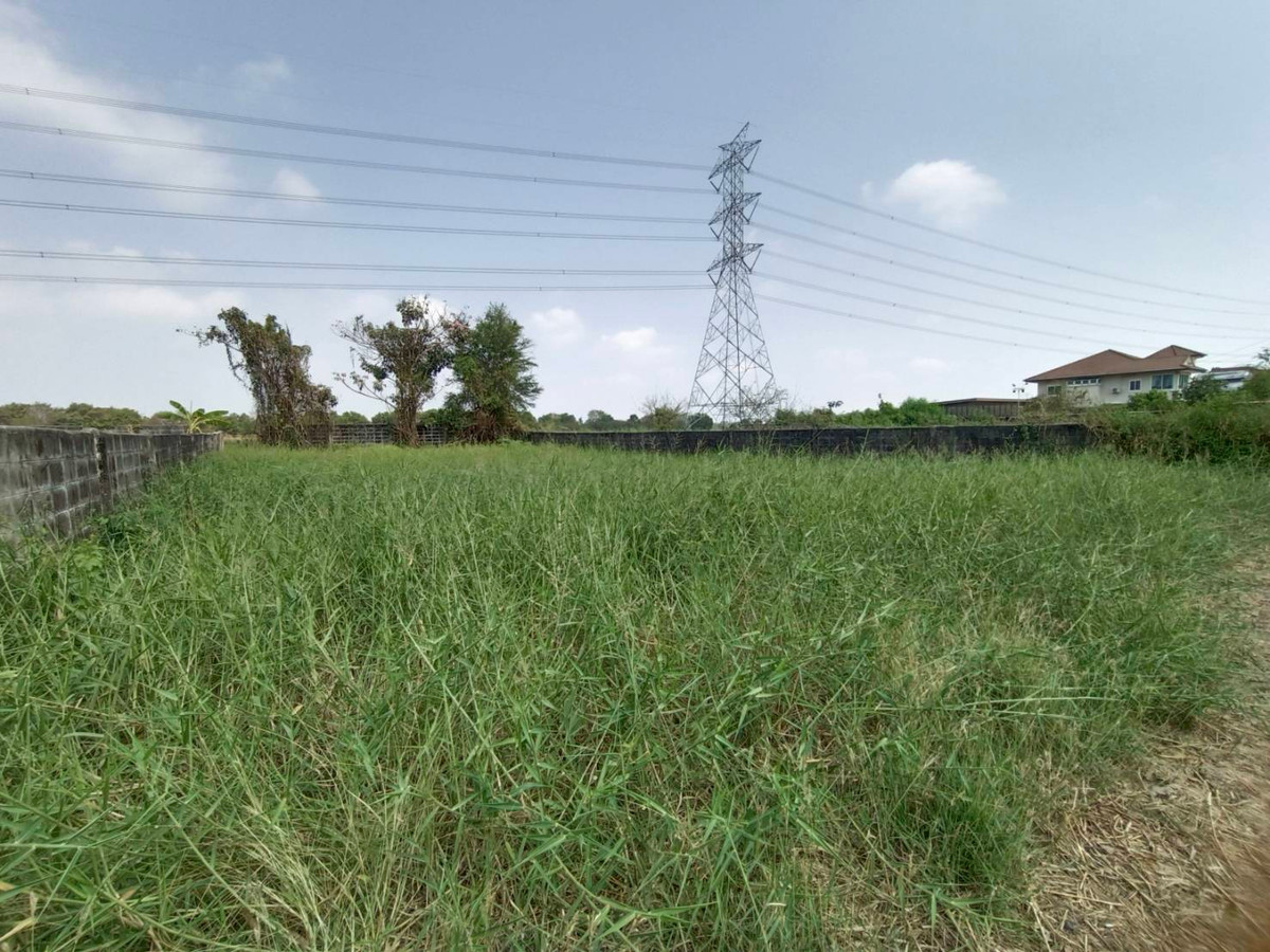 ที่ดินถูกๆ ขายเท่าราคาประเมิน 127ตรว. ถมแล้ว ซ.คุ้มเกล้า 5 – รูปที่ 4