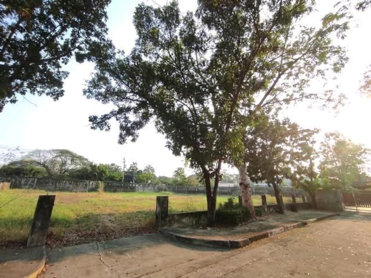 For Sale!  Beautiful Vacant Land in Panya Indra Village P9  – รูปที่ 4