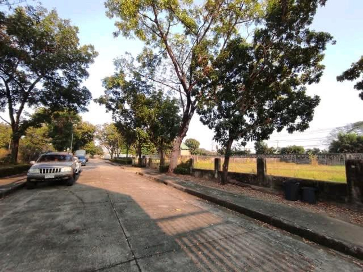 For Sale!  Beautiful Vacant Land in Panya Indra Village P9  – รูปที่ 2