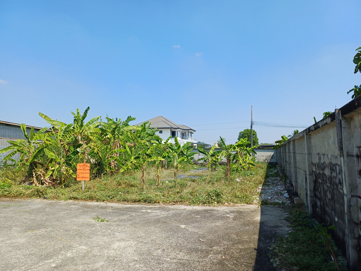 ขายที่ดิน  166.5 ตรว ถมแล้ว ซอยบางแวก 120  ใก้ลด่วน กาญจนาภิเษก เพียง  800 เมตร – รูปที่ 2