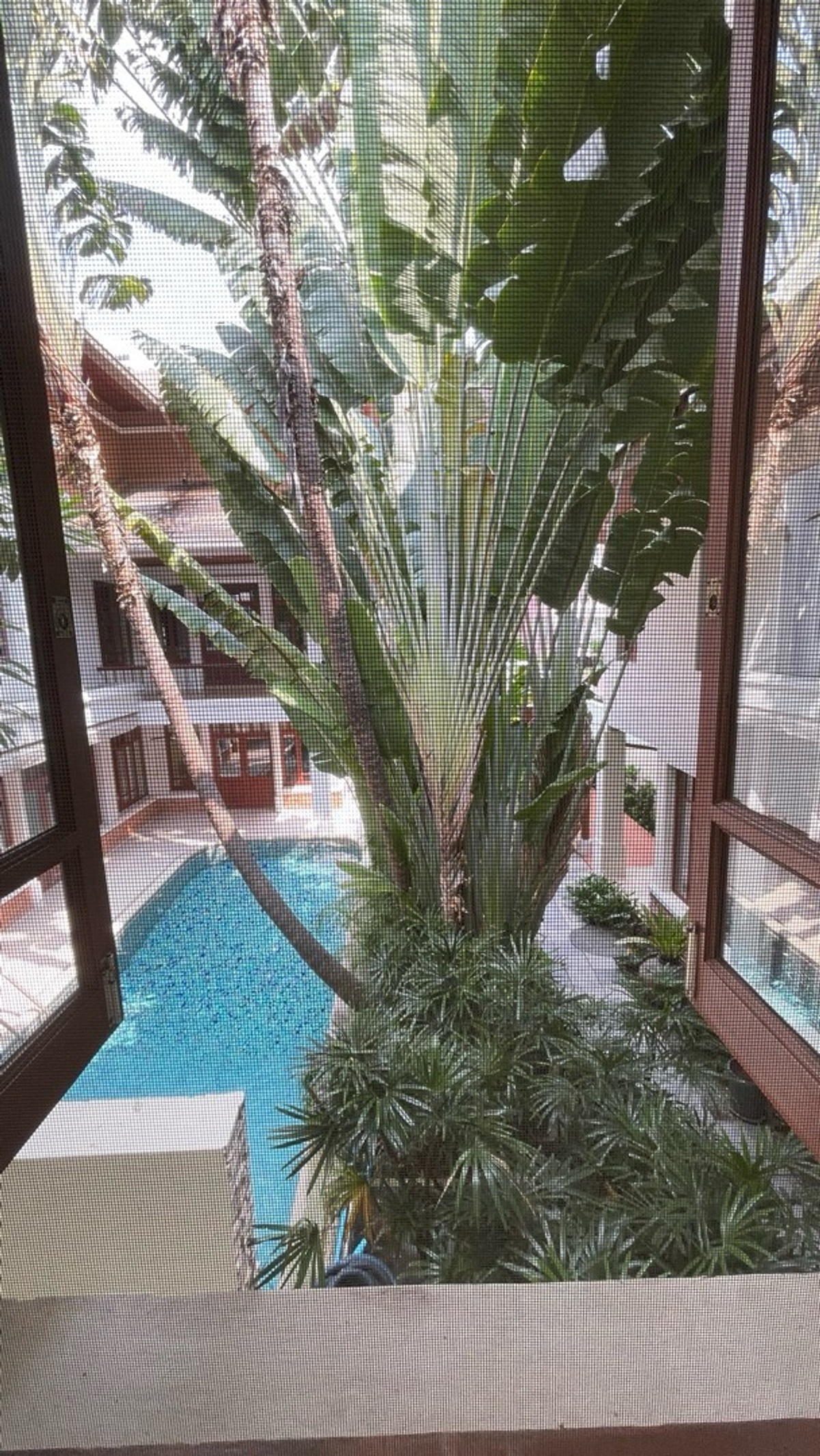 For rent: Thai-Modern Pool Villa in the heart of Ekkamai 10, on 620 sq m of land, 4 bedrooms, 5 bathrooms, suitable for living or doing business. – รูปที่ 4