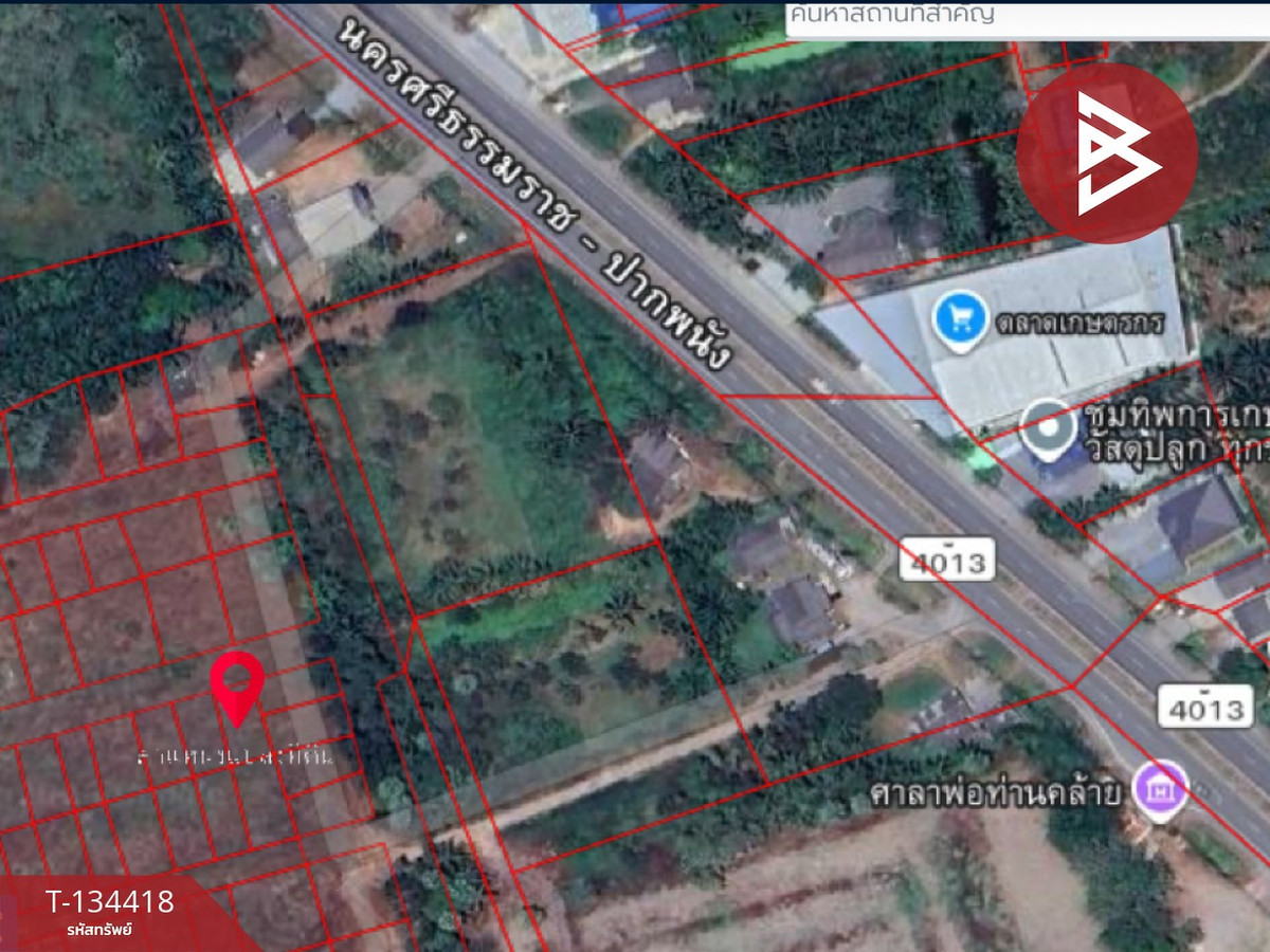 ขายที่ดิน เหมาะสำหรับสร้างที่พักอาศัย เนื้อที่ 50 ตร.วา ท่าไร่ นครศรีธรรมราช – รูปที่ 4