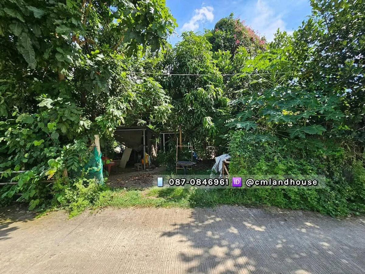 Land 115 sq m., Hang Dong District, near Phu Suan Lok Intersection. Near Khan Khlong Road, 200 m., near Ratchaphruek Road. Filled in and has electricity and water. Land 115 sq m., Hang Dong District, near Phu Suan Lok Intersection. Near Khan Khlong Road, 200 m., near Ratchaphruek Road. Filled in and has electricity and water.