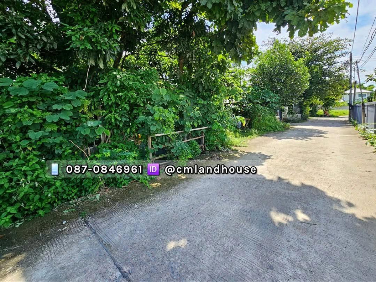 ที่ดิน 115 ตรว. หนองควาย อ.หางดง ติด รร.นานาชาติ ใกล้แยกพืชสวนโลก ใกล้ถนนคันคลอง 200 ม. ใกล้ถนนราชพฤกษ์ 600  ม. ถมแล้ว มีไฟฟ้าประปา – รูปที่ 3
