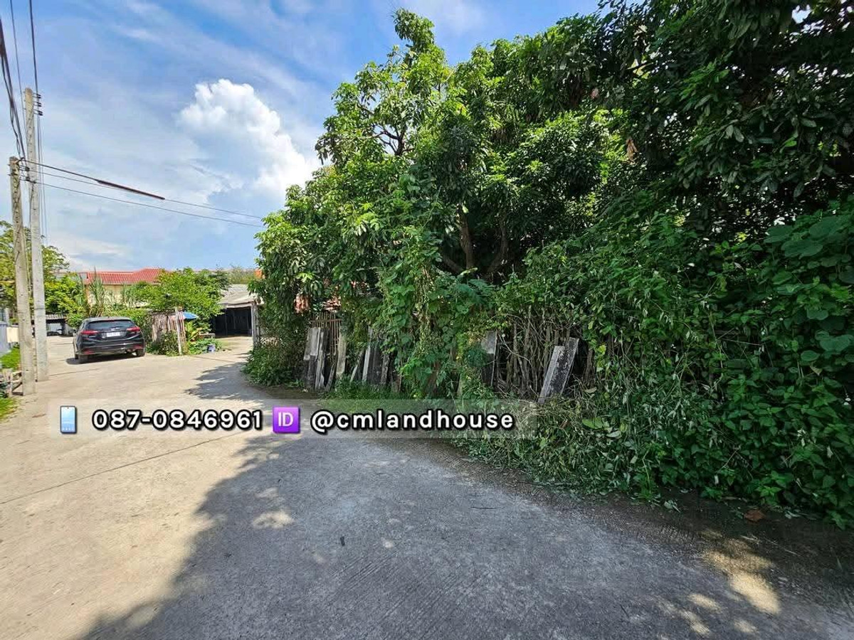 ที่ดิน 115 ตรว. หนองควาย อ.หางดง ติด รร.นานาชาติ ใกล้แยกพืชสวนโลก ใกล้ถนนคันคลอง 200 ม. ใกล้ถนนราชพฤกษ์ 600  ม. ถมแล้ว มีไฟฟ้าประปา – รูปที่ 4