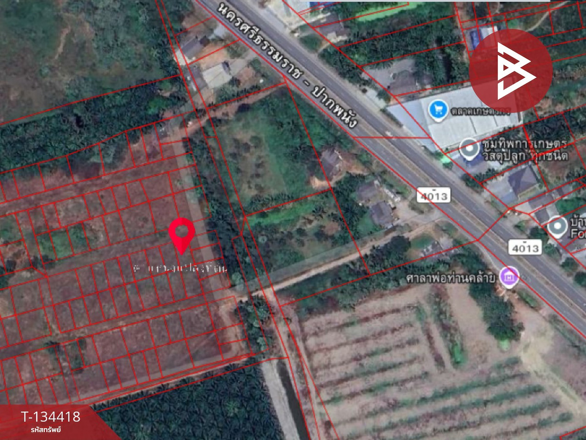 ขายที่ดิน เหมาะสำหรับสร้างที่พักอาศัย เนื้อที่ 50 ตร.วา ท่าไร่ นครศรีธรรมราช – รูปที่ 3
