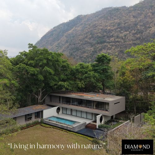 ขาย Penthouse เขาใหญ่ - The Creek Residence Khaoyai , หมูสี (กุดคล้า), ปากช่อง, จ.นครราชสีมา