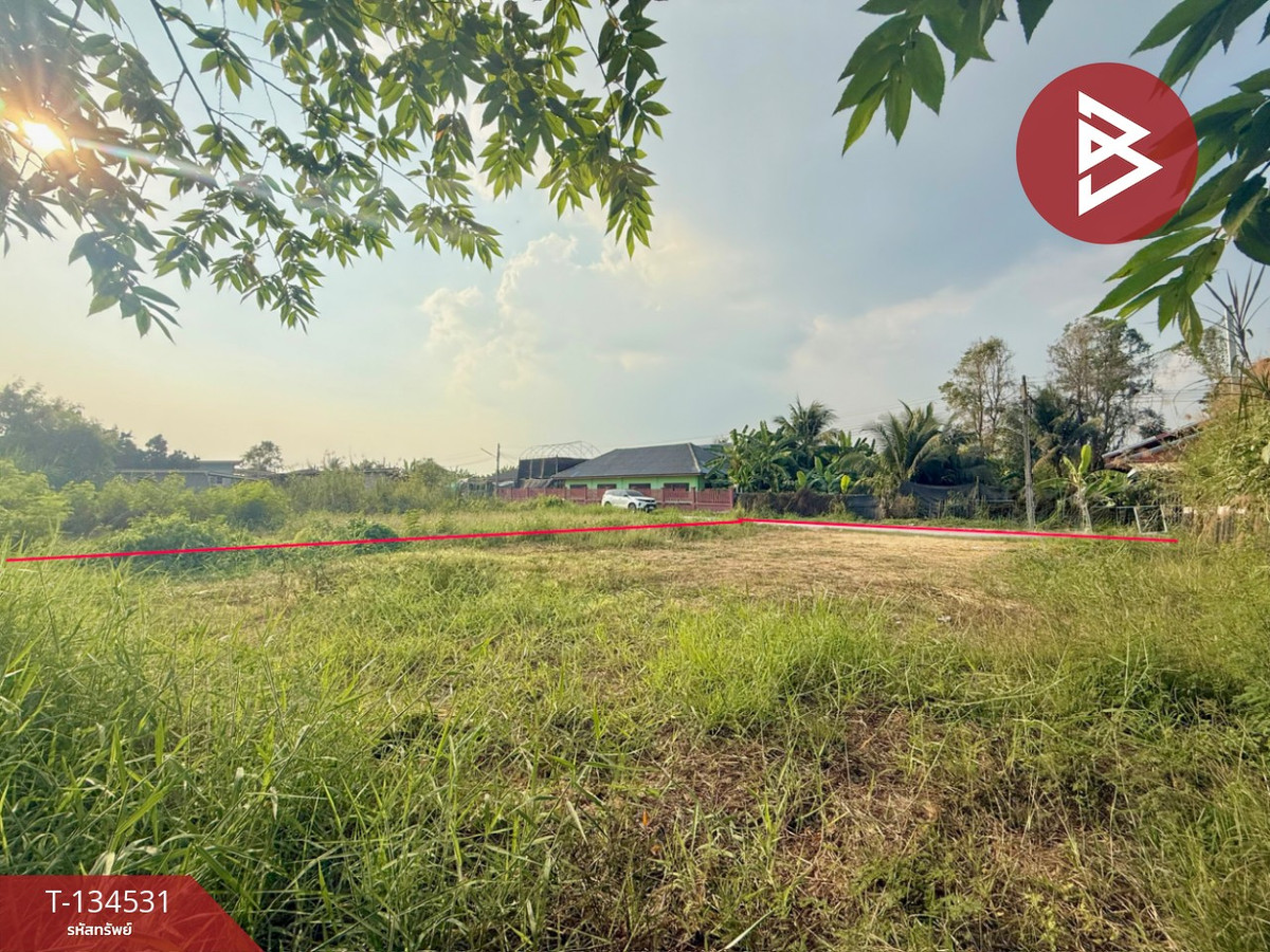 Land for sale, area 1 ngan, Sam Phran, Nakhon Pathom Land for sale, area 1 ngan, Sam Phran, Nakhon Pathom