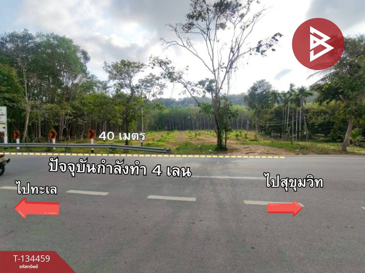 ขายที่ดินพร้อมสวน เนื้อที่ 4 ไร่ 94.2 ตร.วา นายายอาม จันทบุรี – รูปที่ 4