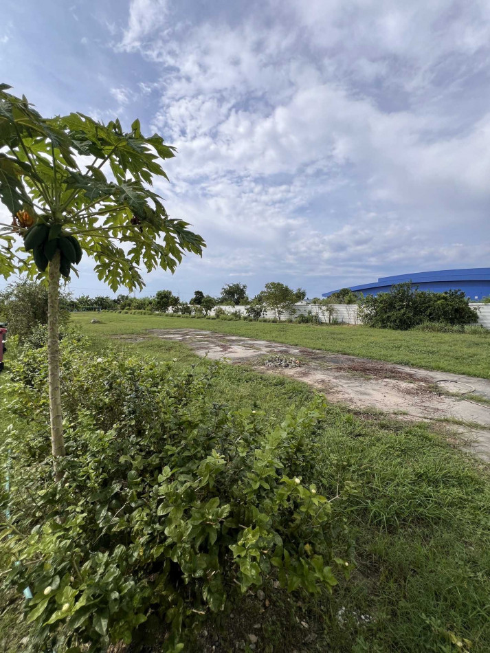 Land for sale, purple zone (industrial/commercial), leveled, 2 rai 2 ngan 8 square wah, next to the road, near Welgrow Industrial Estate. – รูปที่ 2