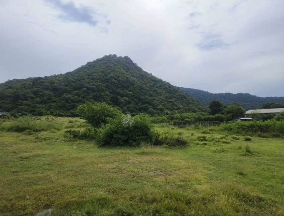 ⛰️ หั่นราคาแหลก! ที่ดินวิวเขา 3 ไร่ โฉนดครุฑแดง อ.เมือง ลพบุรี (พิกัดเขาพระงาม) 🔥 ⛰️ หั่นราคาแหลก! ที่ดินวิวเขา 3 ไร่ โฉนดครุฑแดง อ.เมือง ลพบุรี (พิกัดเขาพระงาม) 🔥