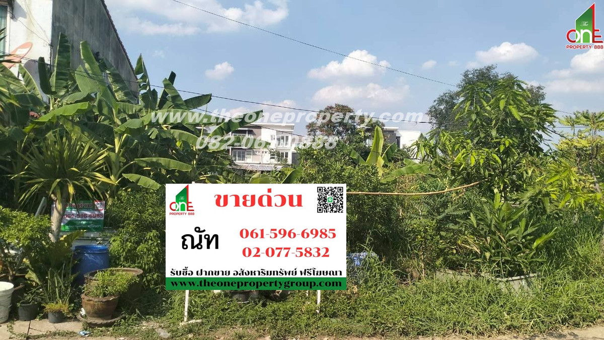ที่ดิน 69 ตรว. ซอยวิภาวดี70 ถ.แจ้งวัฒนะ แขวงตลาดบางเขน เขตหลักสี่ กทม. ที่ดิน 69 ตรว. ซอยวิภาวดี70 ถ.แจ้งวัฒนะ แขวงตลาดบางเขน เขตหลักสี่ กทม.