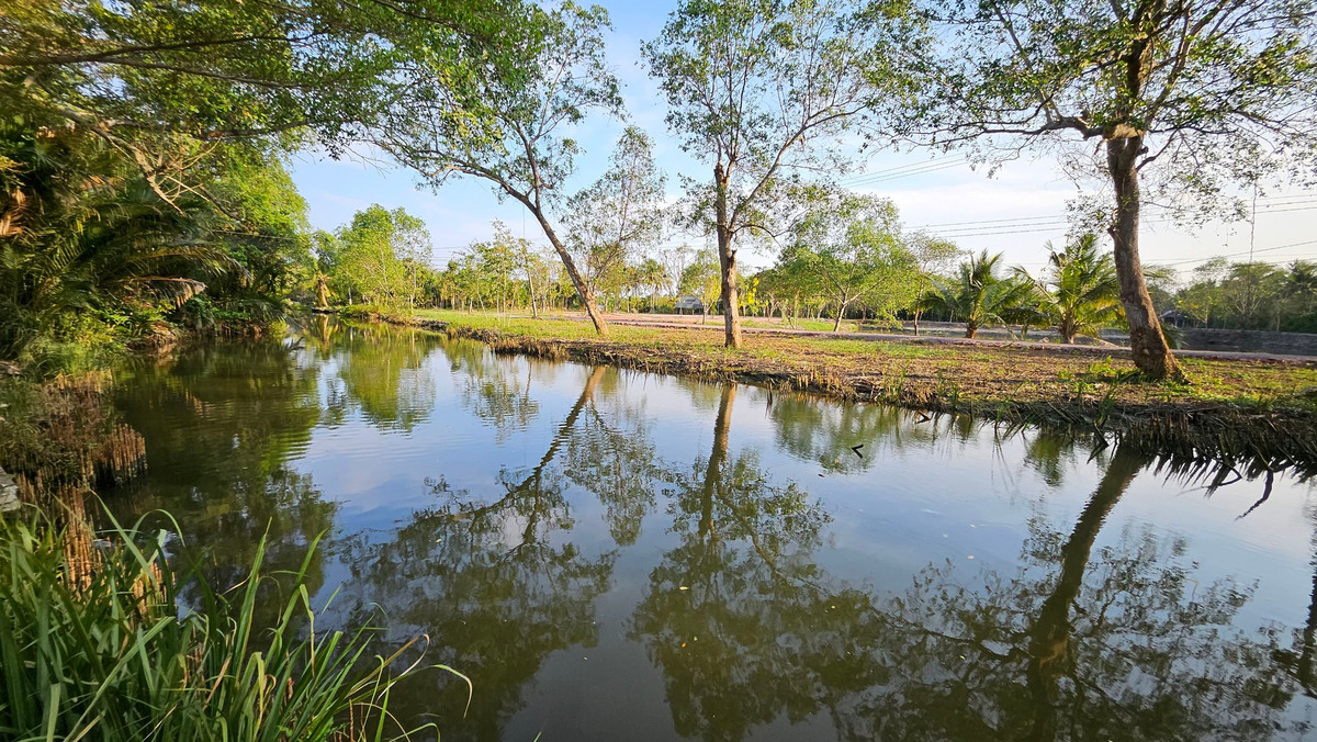 บ้านพร้อมที่ดิน บนเกาะส่วนตัว อัมพวา 6 ไร่เศษ บ้านพร้อมที่ดิน บนเกาะส่วนตัว อัมพวา 6 ไร่เศษ