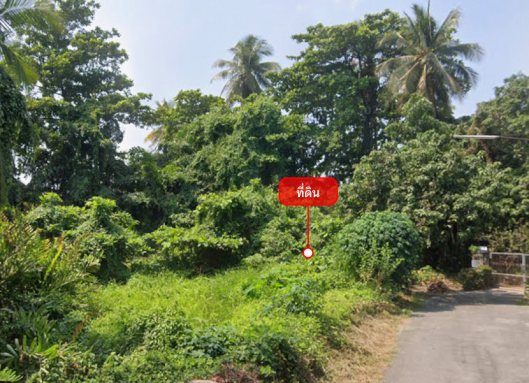 Land for sale 1-2-65 rai near Sam Phran Police Cadet Academy and Wat Sam Phran (Phutthophawana) – รูปที่ 3
