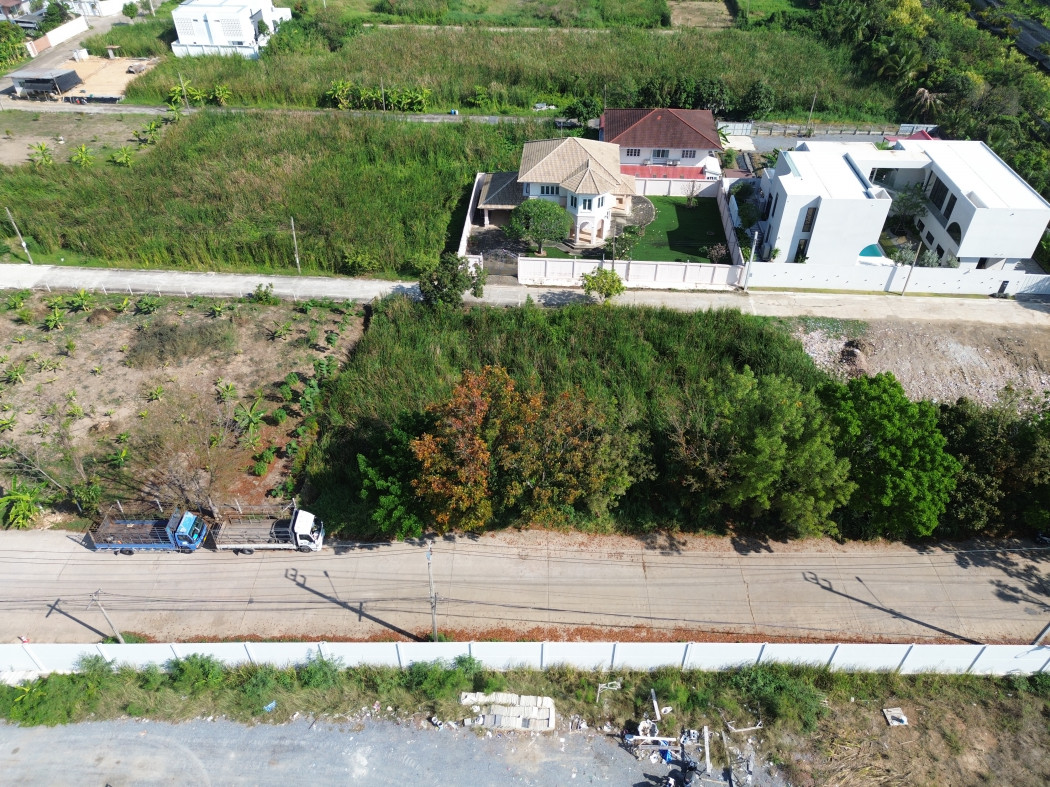 ขาย ที่ดิน พุทธมณฑลสาย 2 ซอย 21 ขนาด 173 ตรว เหมาะ สร้างบ้าน DD – รูปที่ 4