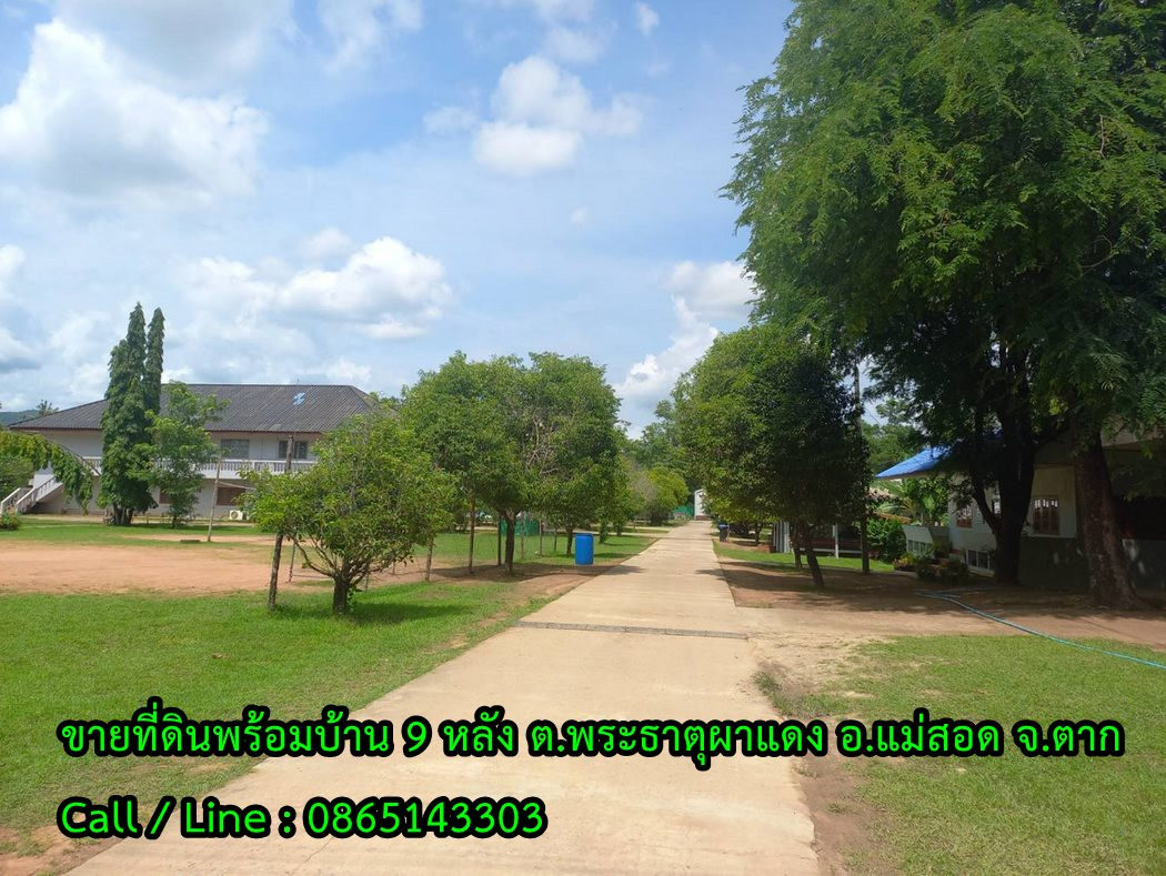 Call : 086-514-3303 For Sell Land with house 9 unit, 17-1-72 rai, Phra That Pha Daeng, Mae Sot, Tak, 2 km. from Global House Mae Sot branch Call : 086-514-3303 For Sell Land with house 9 unit, 17-1-72 rai, Phra That Pha Daeng, Mae Sot, Tak, 2 km. from Global House Mae Sot branch
