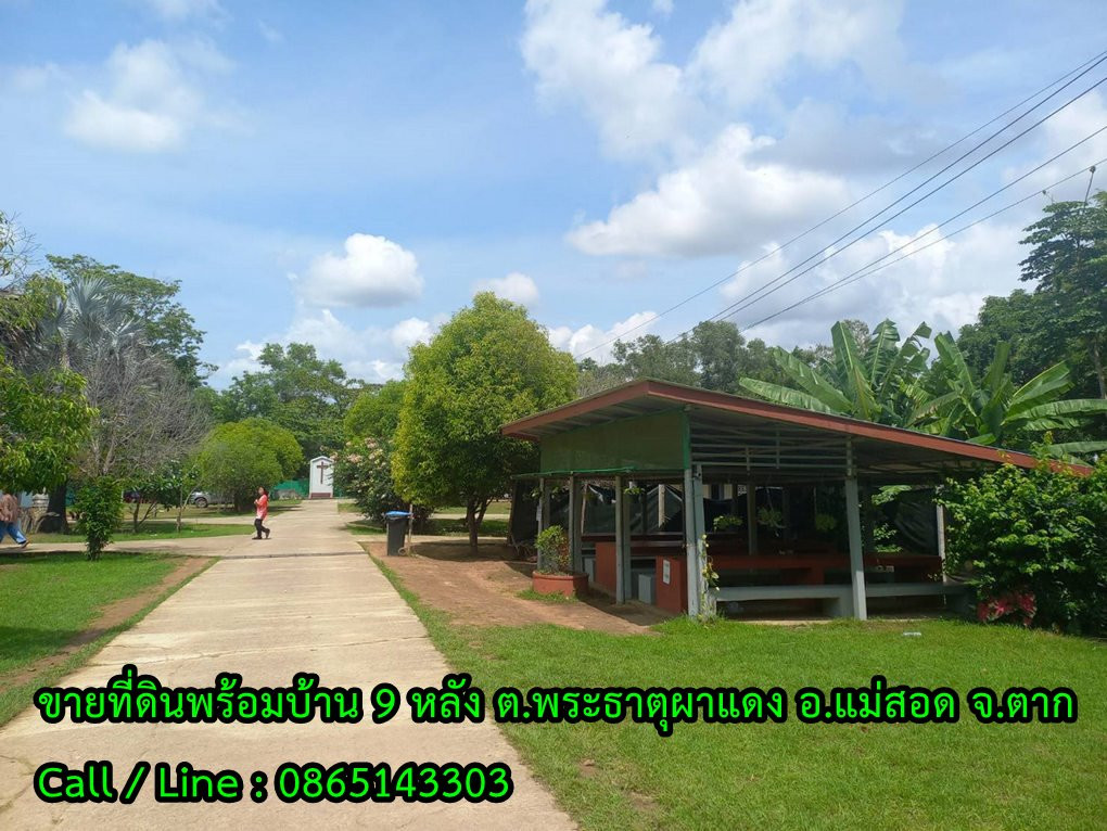 สอบถามโทร : 086-514-3303 ขายที่ดินพร้อมอาคาร 9 หลัง เนื้อที่ 17-1-72 ไร่ (ฮวงจุ้ยดี หน้าติดน้ำ หลังพิงเขา) ตำบลพระธาตุผาแดง อำเภอแม่สอด จังหวัดตาก ใกล้ Global house สาขาแม่สอด 2 กม. – รูปที่ 3