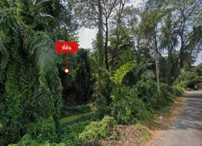 Land for sale 1-2-65 rai near Sam Phran Police Cadet Academy and Wat Sam Phran (Phutthophawana)