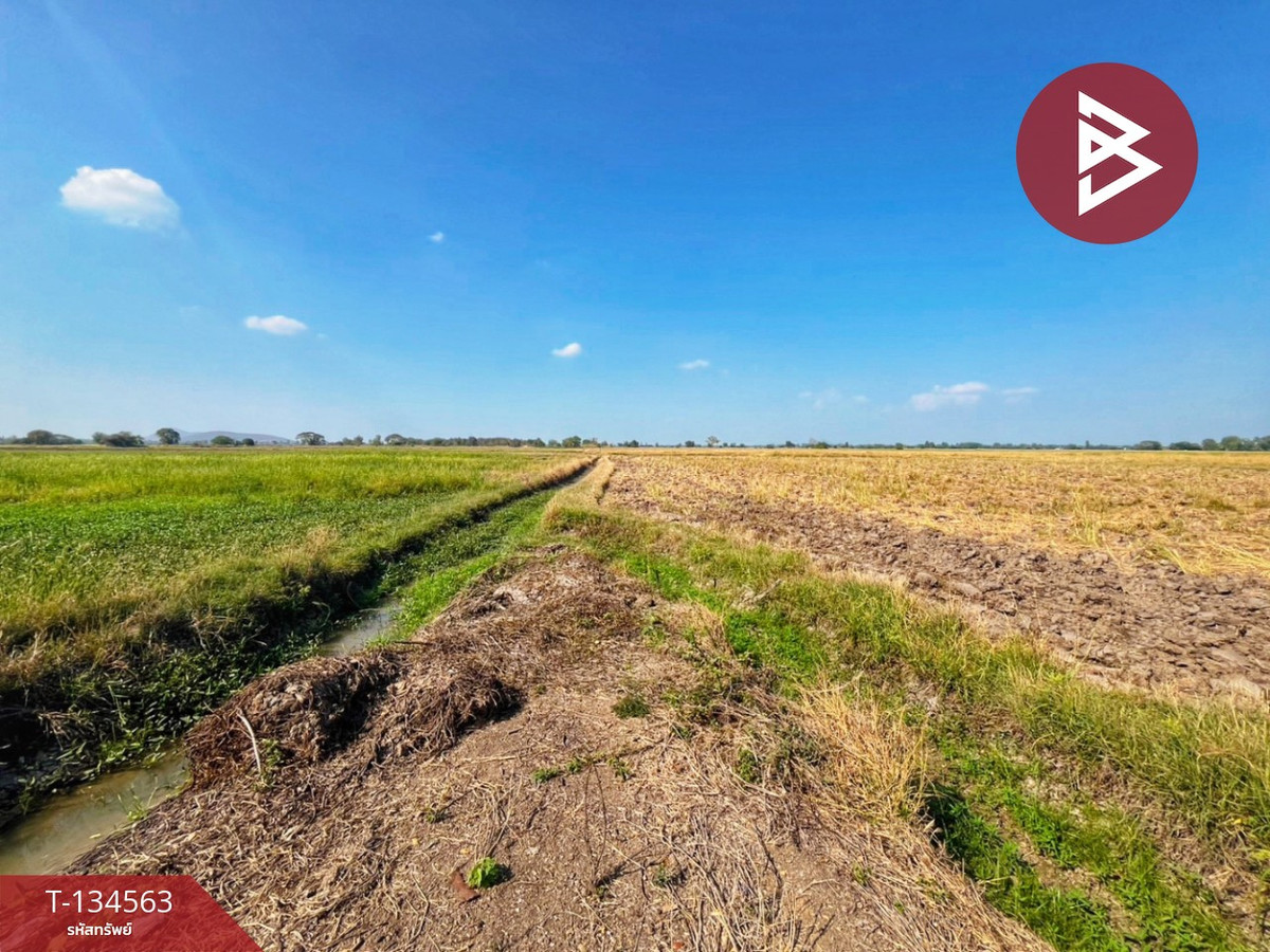 Rice field land for sale, area 4 rai 13 square wah, Taluk Subdistrict, Sapphaya District, Chainat Province. Rice field land for sale, area 4 rai 13 square wah, Taluk Subdistrict, Sapphaya District, Chainat Province.