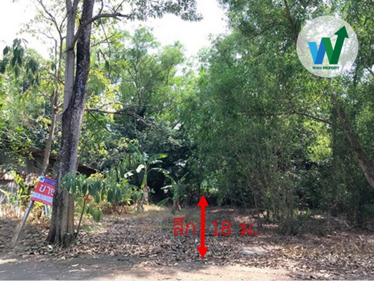 ขายที่ดินเปล่าแปลงสวย 63 ตร.ว. รูปสี่เหลี่ยมผืนผ้า น้ำไฟพร้อม บ้านสวนศรีปทุม เลียบคลองรังสิต 11 – รูปที่ 2