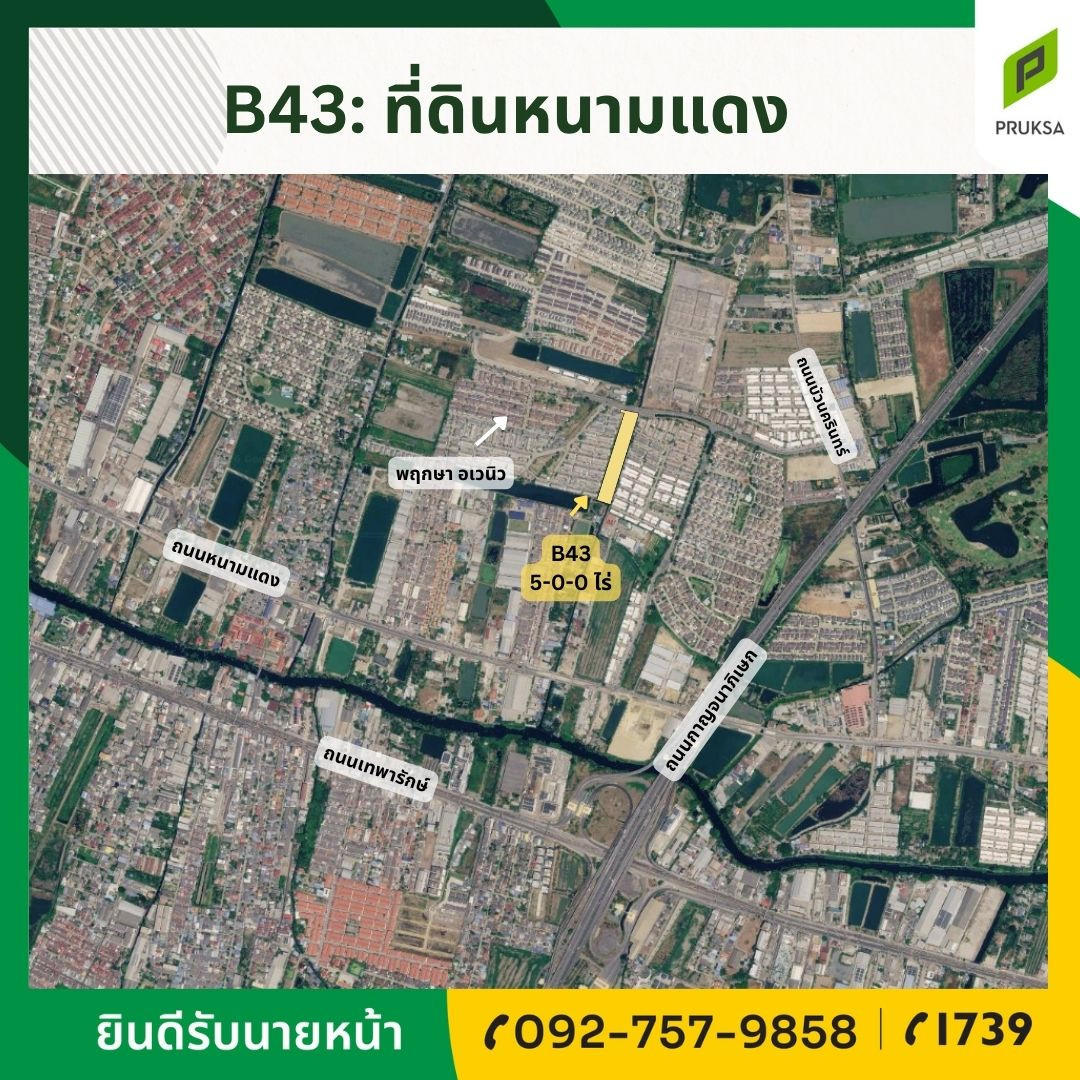 ขายแปลงที่ดินทำเลดี พร้อมโอน ในโครงการพฤกษา อเวนิว ศรีนครินทร์ ขายแปลงที่ดินทำเลดี พร้อมโอน ในโครงการพฤกษา อเวนิว ศรีนครินทร์