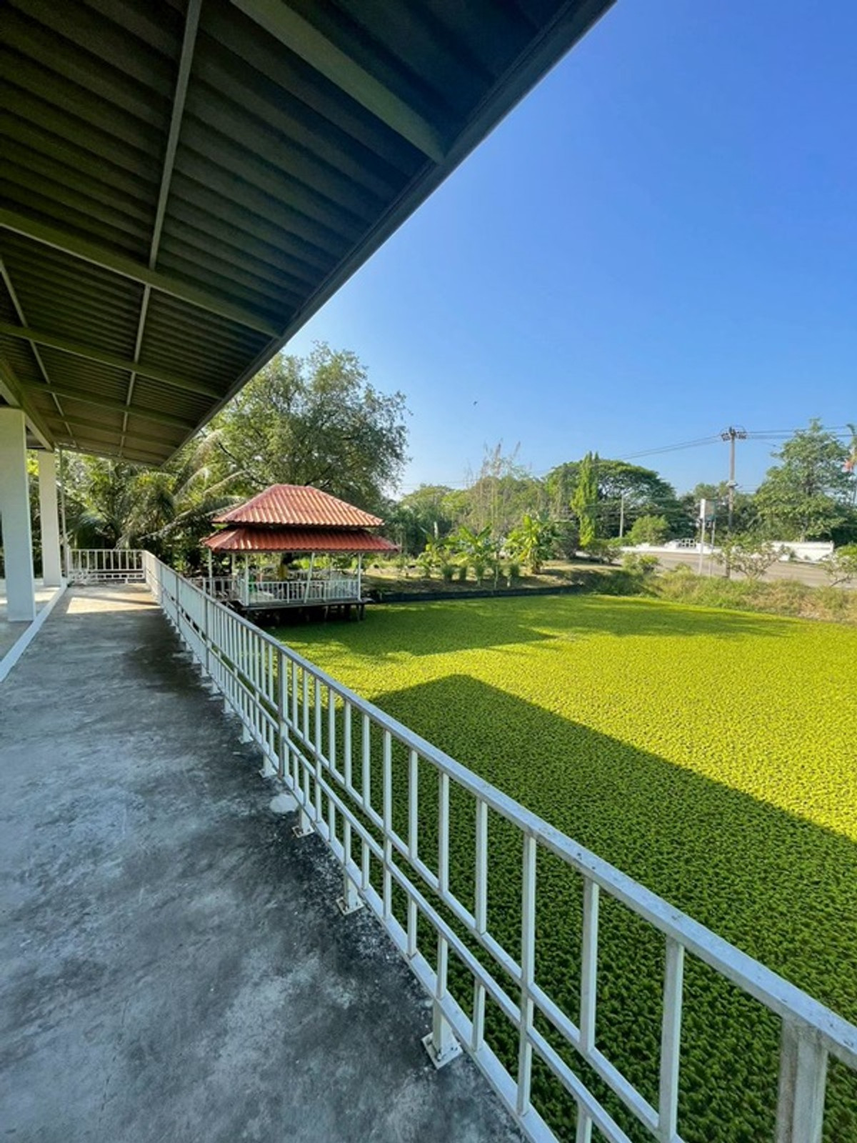 ขาย  บ้านเดี่ยว  คลองสามวา   ถ.ประชาร่วมใจ 31 – รูปที่ 4