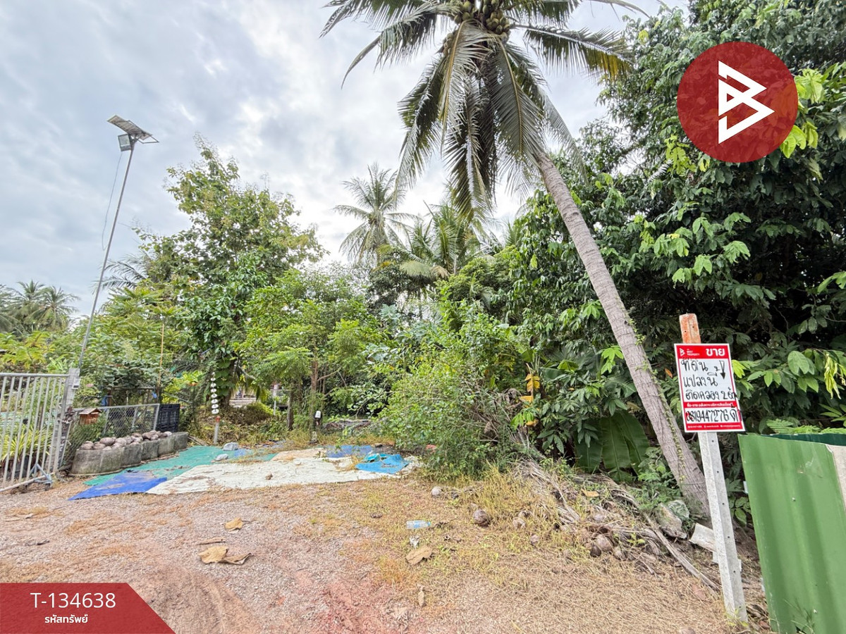 ขายที่ดิน เนื้อที่ 3 งาน บางคนที สมุทรสงคราม – รูปที่ 4