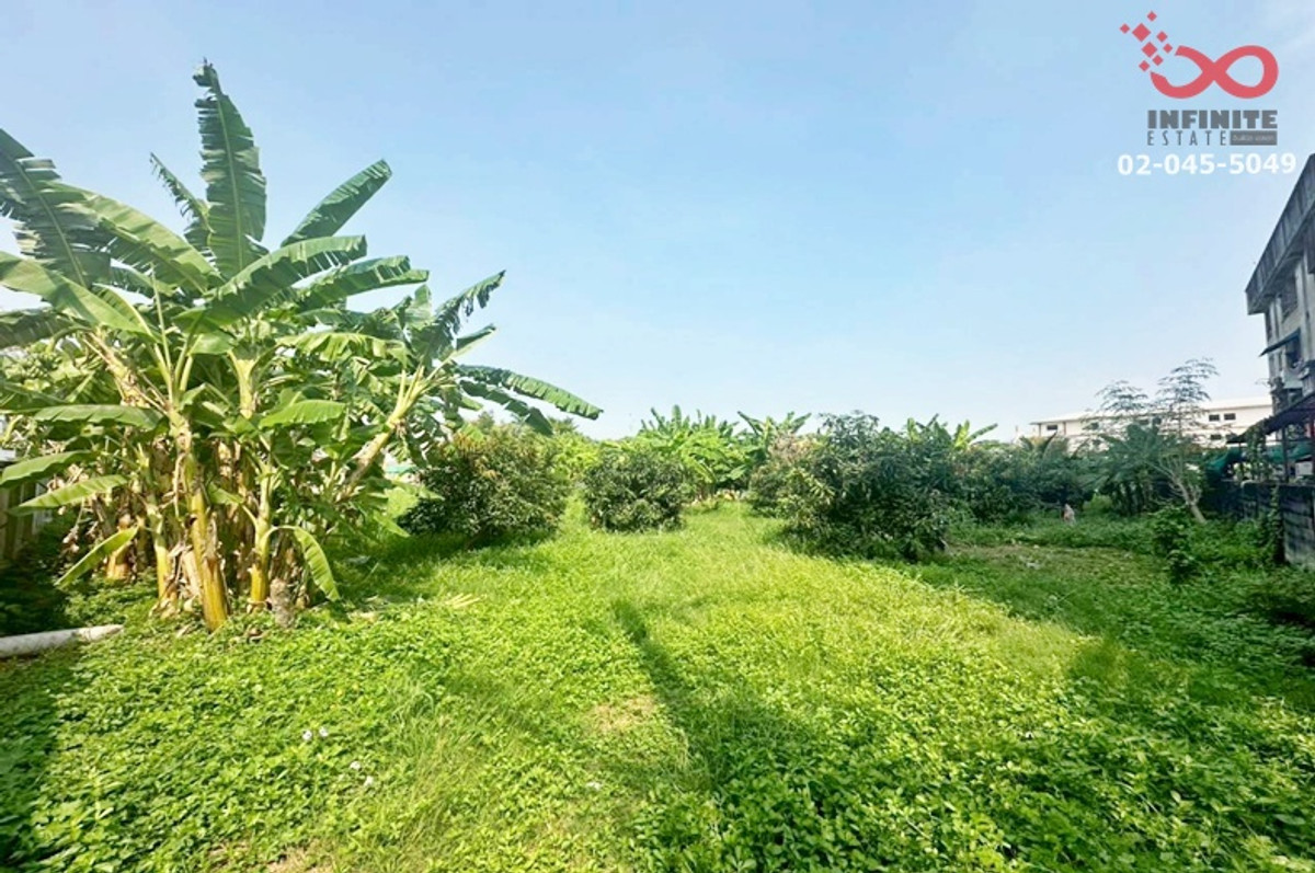 ขายที่ดิน 1-1-29 ไร่ ติวานนท์ 43 ท่าทราย นนทบุรี  ใกล้รถไฟฟ้า สายสีชมพู – รูปที่ 4