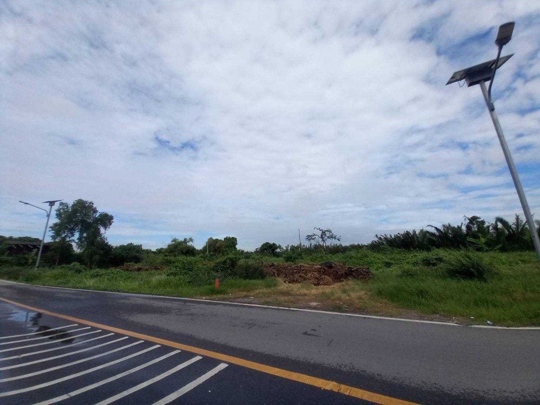 ขาย ที่ดิน ผังม่วงเข้ม 47 ไร่ 39 ตรว บางปลากด พระสมุทรเจดีย์ – รูปที่ 2