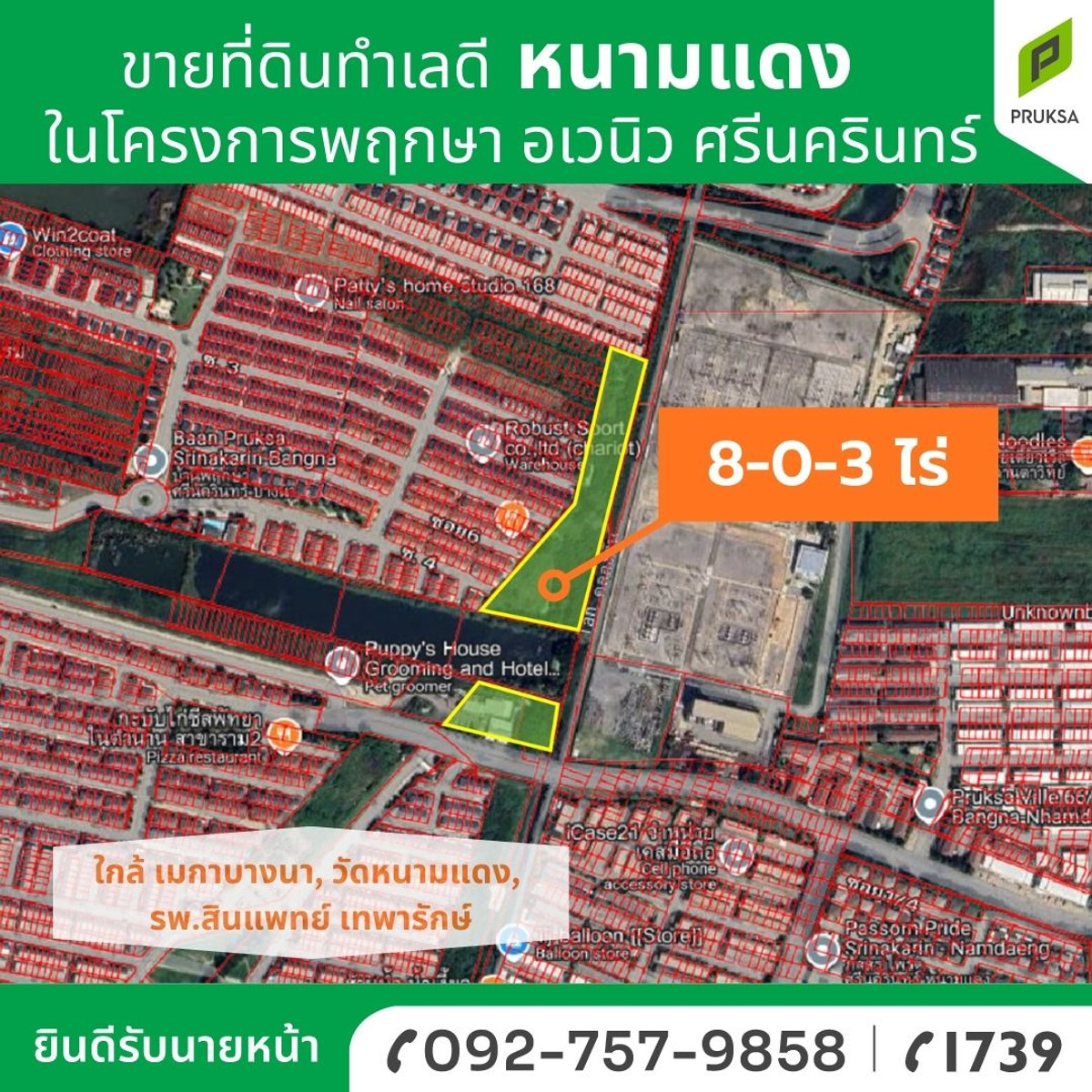 ขายแปลงที่ดินทำเลดี พร้อมโอน ในโครงการพฤกษา อเวนิว ศรีนครินทร์ ขายแปลงที่ดินทำเลดี พร้อมโอน ในโครงการพฤกษา อเวนิว ศรีนครินทร์