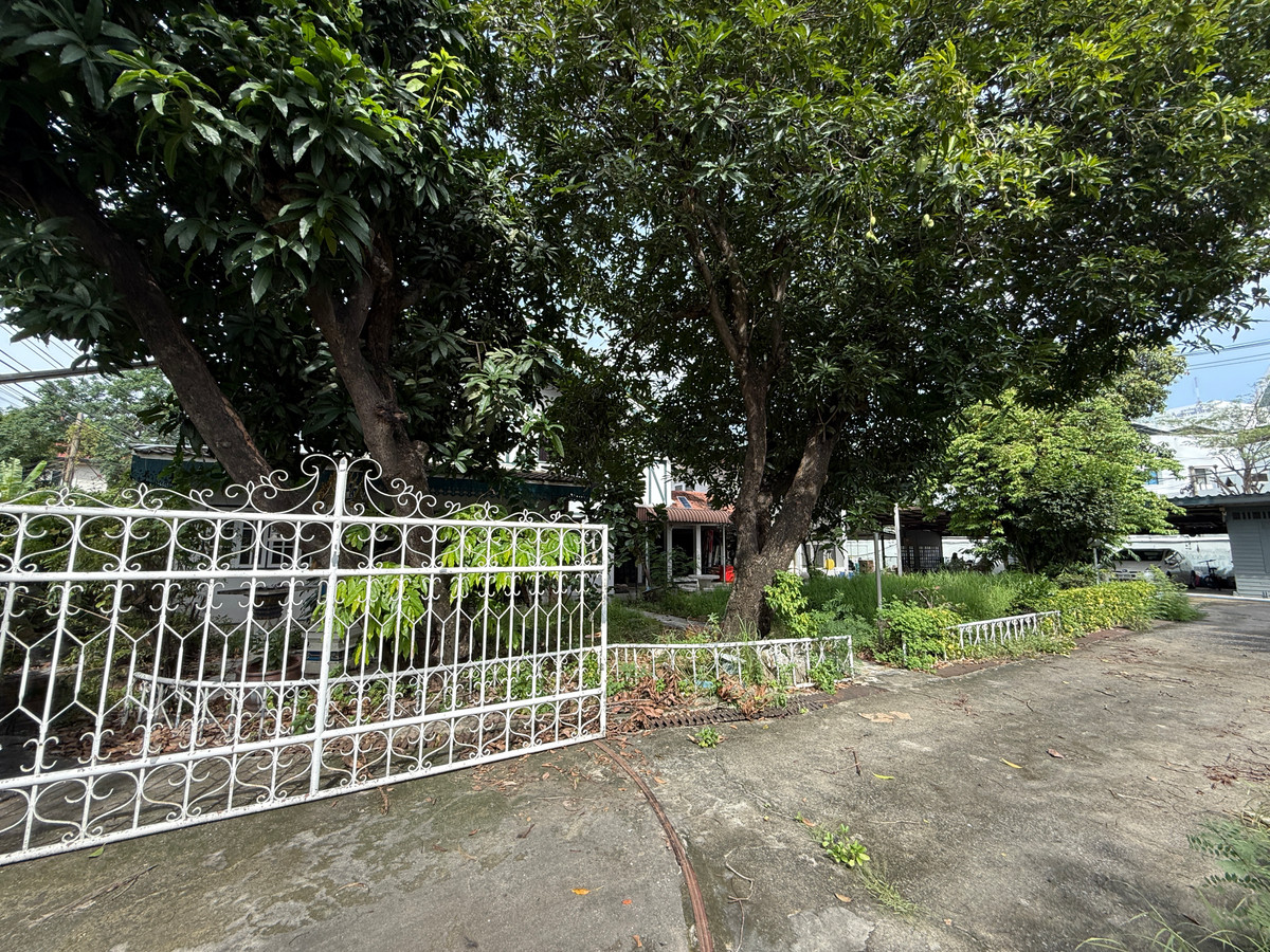 🔥 For sale 🔥 Land Vibhavadi 100 sq.w. Soi 4 ​​- Land 100 sq.w. Vibhavadi Soi 4 ​​E134 – รูปที่ 3