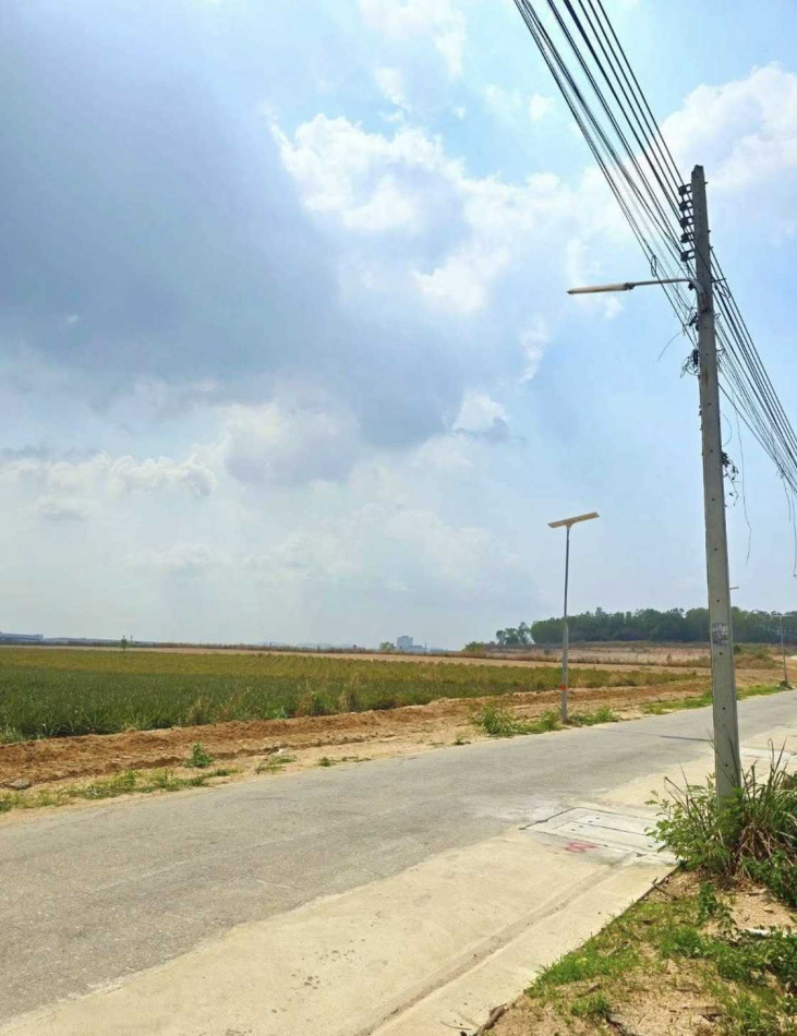 ขาย ที่ดิน ติดนิครมอมตะซิตี้ ระยองผังสีม่วงเข้ม 29 ไร่ 3 งาน 96 ตรว ใกล้ท่าเรือแหลมฉบัง – รูปที่ 3