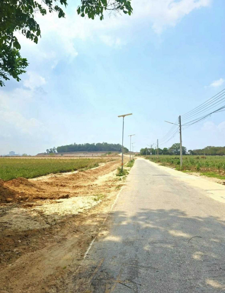 ขาย ที่ดิน ติดนิครมอมตะซิตี้ ระยองผังสีม่วงเข้ม 29 ไร่ 3 งาน 96 ตรว ใกล้ท่าเรือแหลมฉบัง – รูปที่ 4