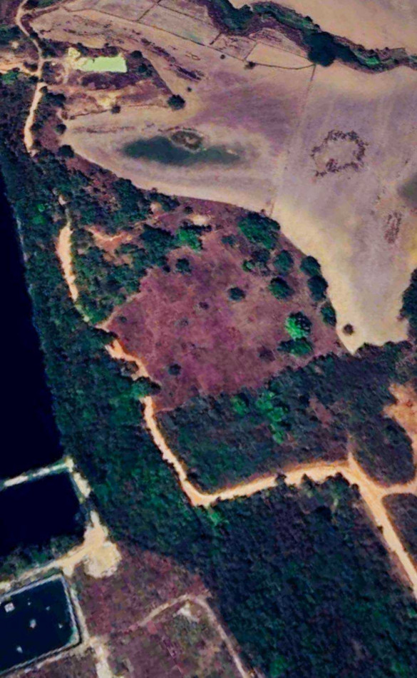 ขาย ที่ดิน ผังสีม่วง 42 ไร่ ติดทางสาธารณะ ใกล้โรงงานใหญ่ – รูปที่ 2