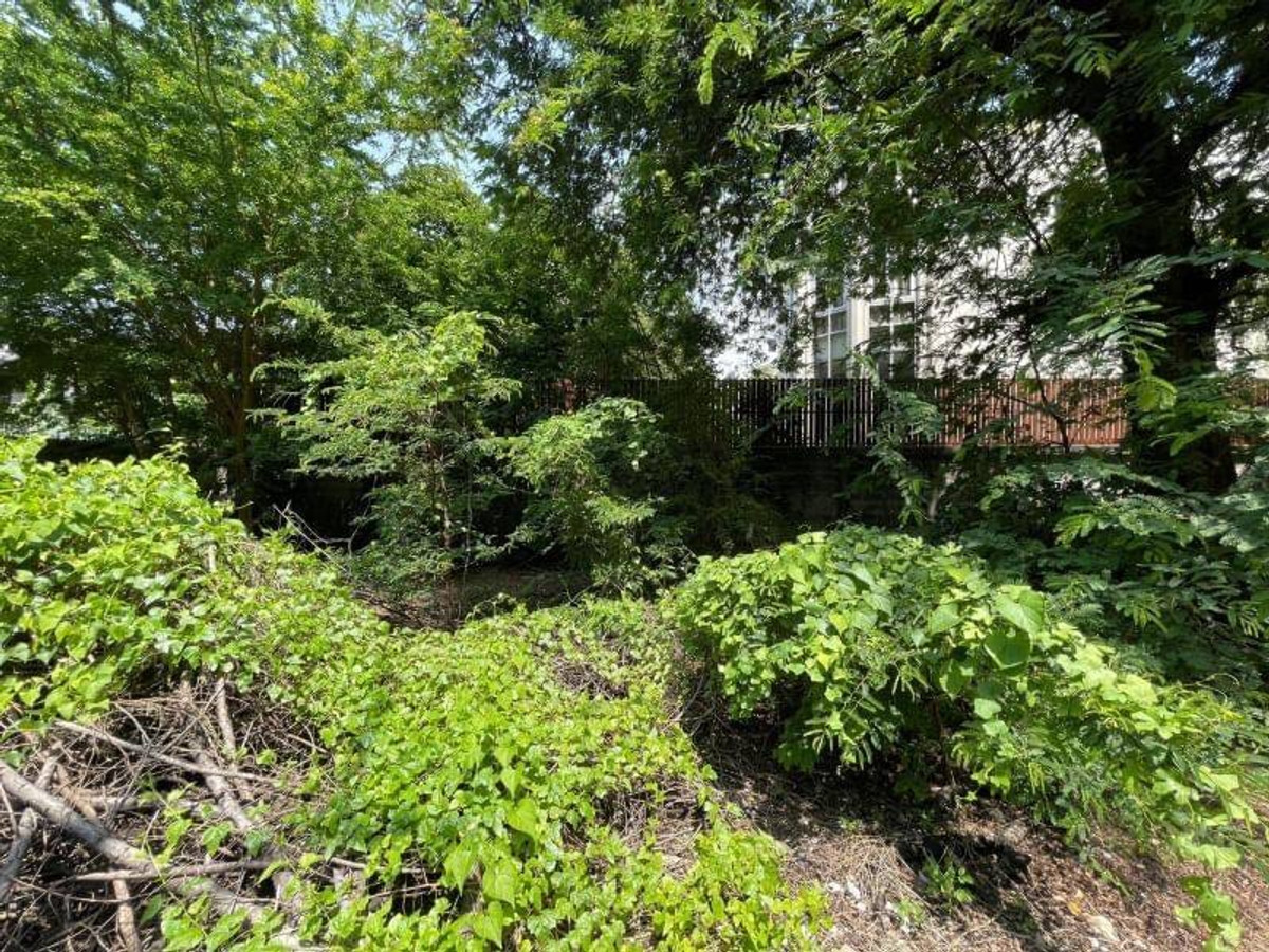 Land for Sale ที่ดิน ซอยปรีดี พนมยงค์ 45 (ซอยเยาวราช) – รูปที่ 3