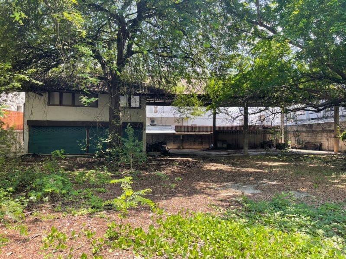 Land for Sale ที่ดิน ซอยปรีดี พนมยงค์ 45 (ซอยเยาวราช) Land for Sale ที่ดิน ซอยปรีดี พนมยงค์ 45 (ซอยเยาวราช)