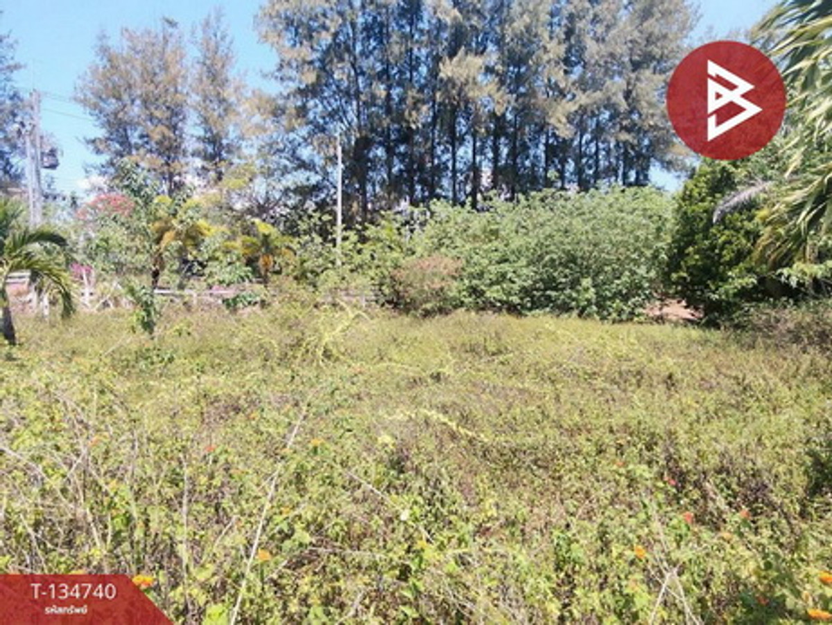 Land for sale, The Luft Project, Wang Sai, Pak Chong, Nakhon Ratchasima (The Luft) – รูปที่ 2