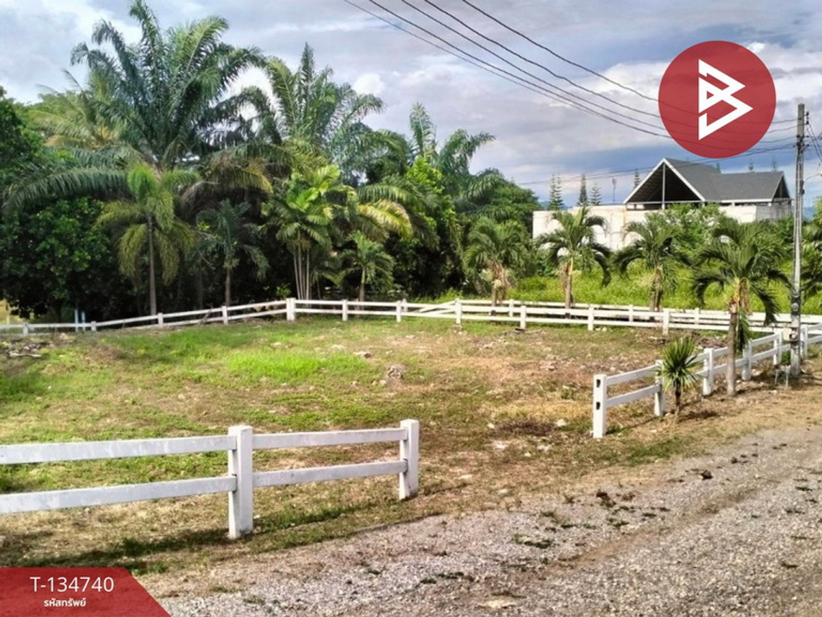 Land for sale, The Luft Project, Wang Sai, Pak Chong, Nakhon Ratchasima (The Luft) – รูปที่ 3