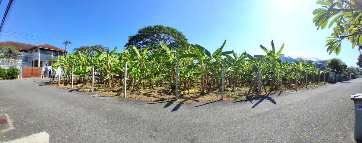 🏡 Rare Land Opportunity in Prime Sukhumvit Area – Ideal for Investment or Development 🏡 Rare Land Opportunity in Prime Sukhumvit Area – Ideal for Investment or Development