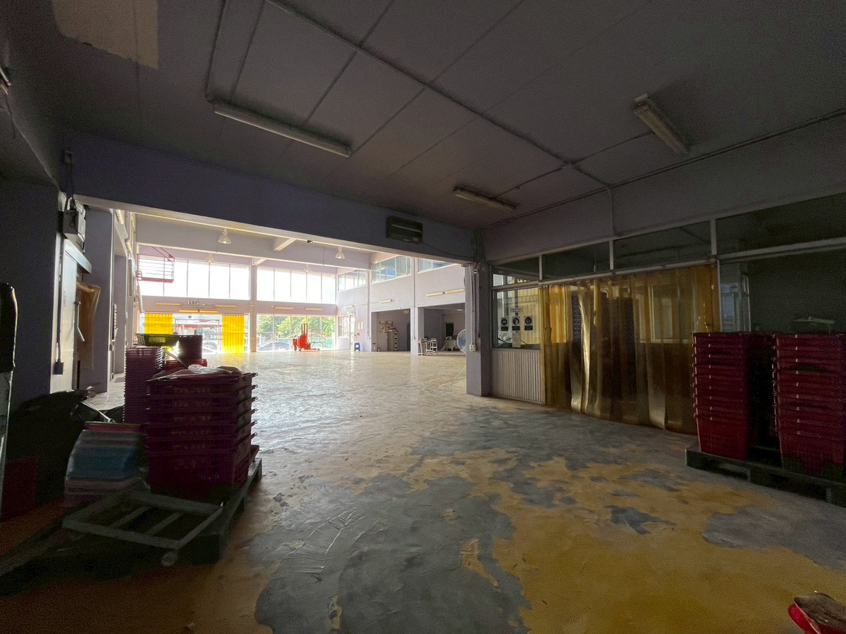 Office 3.5 floors, 324 sq m, office, Soi Thepkunchorn 3, near Talad Thai, Iyara Market, Phahon Yothin Road, Khlong Luang Road, Khlong Luang, Pathum Thani. – รูปที่ 4