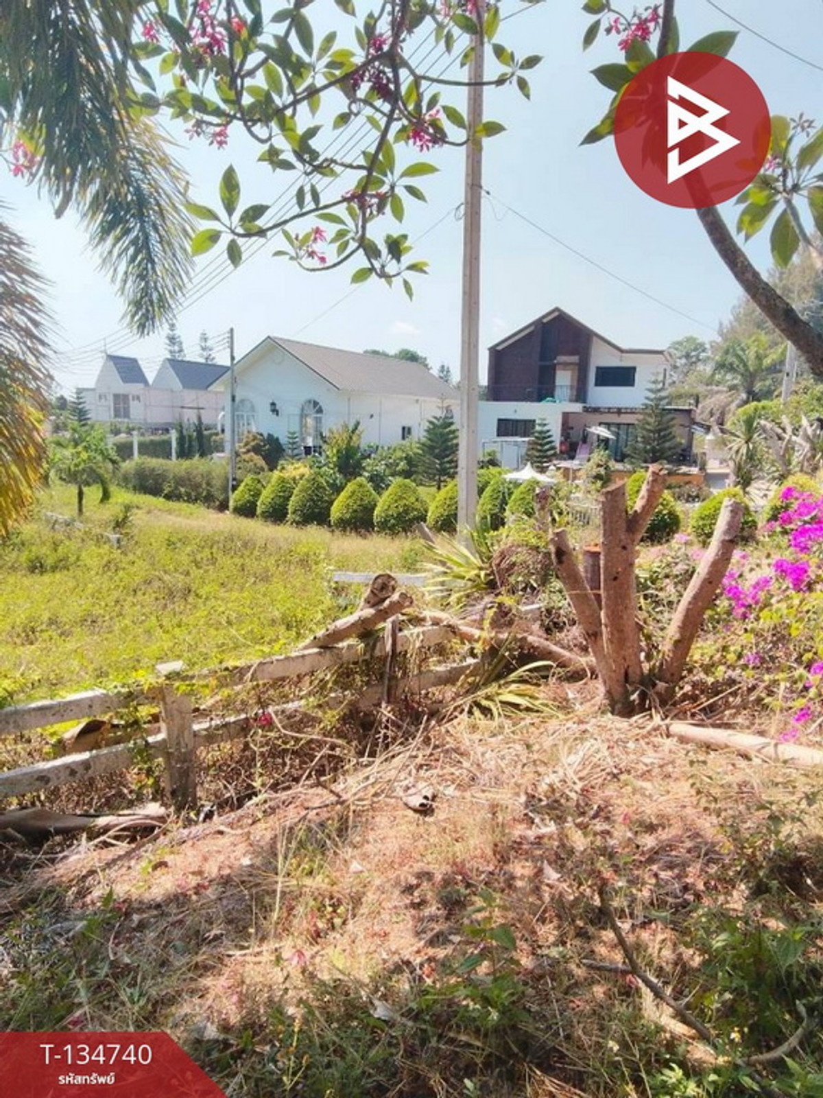 Land for sale, The Luft Project, Wang Sai, Pak Chong, Nakhon Ratchasima (The Luft) – รูปที่ 4