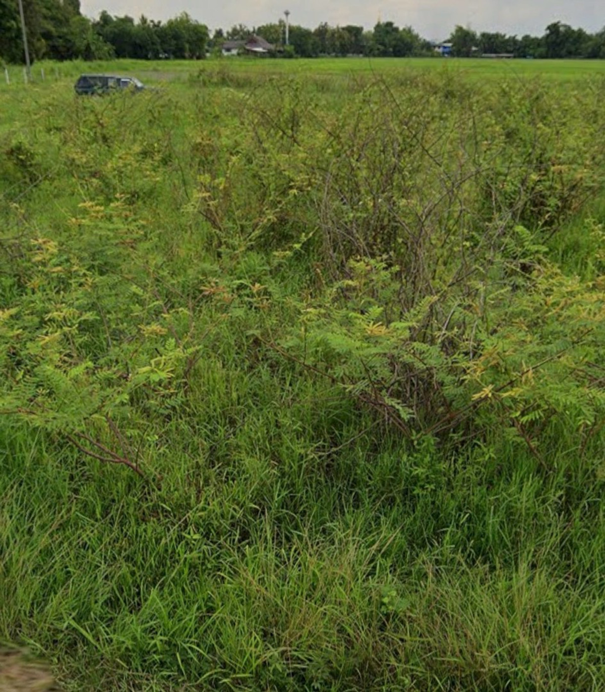 Land for sale, 398.7 sq m, Pa Bong, Saraphi, Chiang Mai, behind Suan Thammabunthaworn, very cheap price. – รูปที่ 2