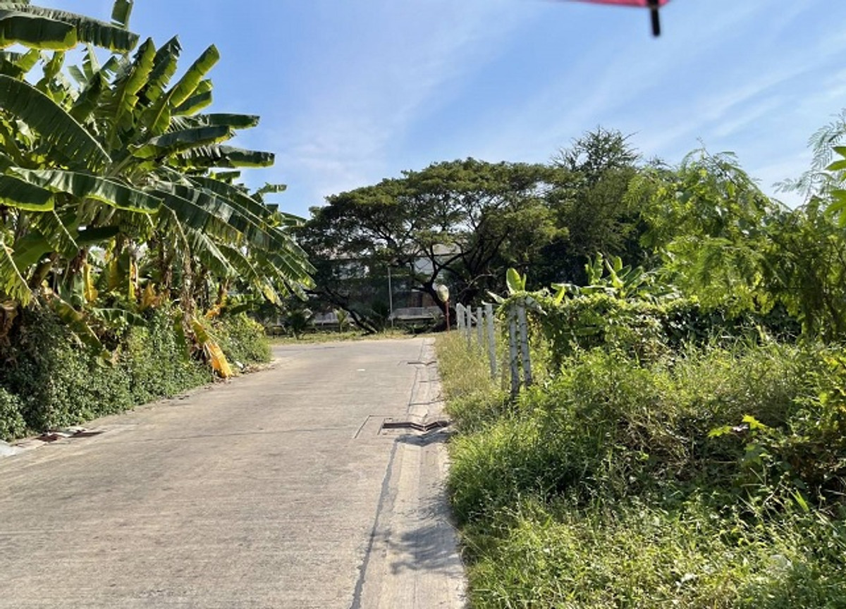 Empty land for sale, size 486 sq m, near the Yellow Line Srinakarin 38 and Seacon Square Srinakarin, Soi Srinakarin 36, Suan Luang District, Bangkok. – รูปที่ 4