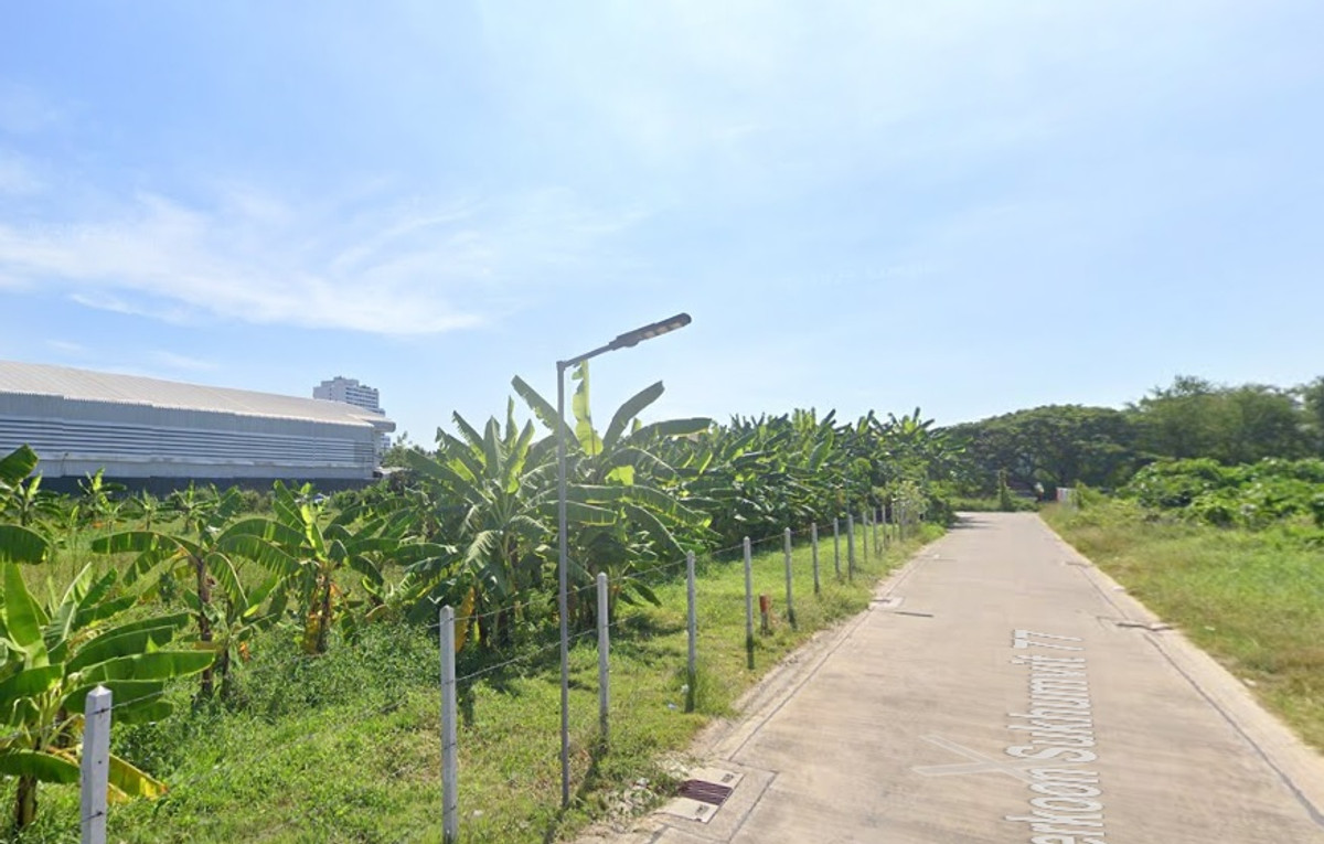 Empty land for sale, size 486 sq m, near the Yellow Line Srinakarin 38 and Seacon Square Srinakarin, Soi Srinakarin 36, Suan Luang District, Bangkok. – รูปที่ 2