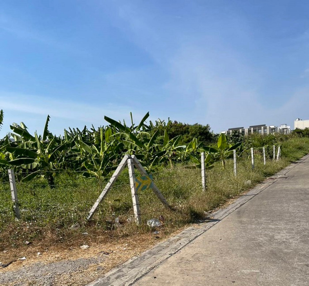 Empty land for sale, size 486 sq m, near the Yellow Line Srinakarin 38 and Seacon Square Srinakarin, Soi Srinakarin 36, Suan Luang District, Bangkok. – รูปที่ 3