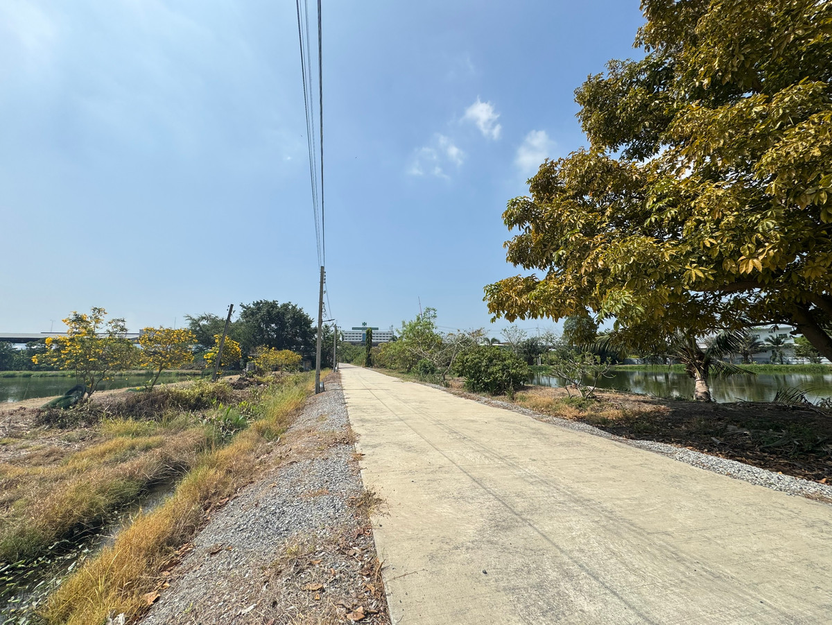 Empty land for sale in Bangna Km.29, total 11 rai 2 ngan 10 square wah, Bang Bo Subdistrict, Bang Bo District, Samut Prakan. – รูปที่ 4