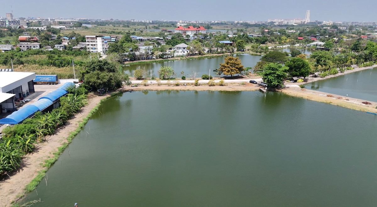 Empty land for sale in Bangna Km.29, total 11 rai 2 ngan 10 square wah, Bang Bo Subdistrict, Bang Bo District, Samut Prakan. – รูปที่ 3