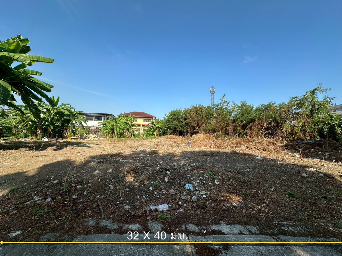 ราคาดีมาก ที่ดินเปล่า ถมแล้ว 353 ตร.ว. แปลงสวย ถนนแบริ่ง - ลาชาล ( ซอย แบริ่งตัดใหม่ 7 ) ใกล้BTS แบริ่ง – รูปที่ 4
